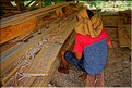 Chantier de construction dune maison Toraja. (3)
