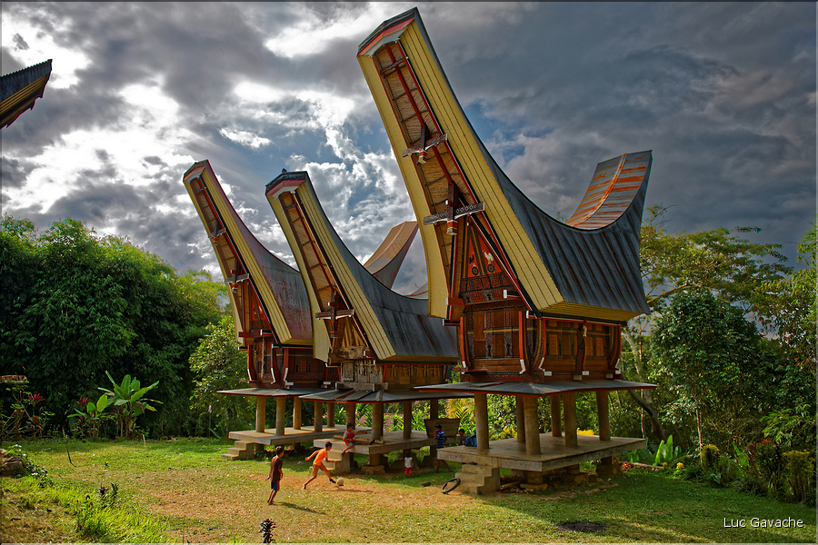 Le pays Toraja est une alternance de villages typiques et de cultures, principalement de riz. (4)