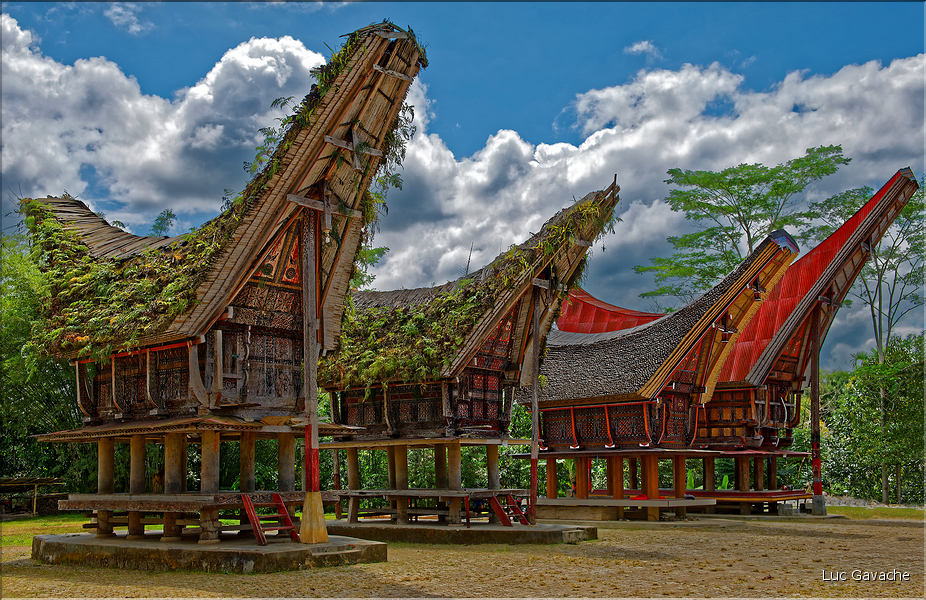 Le pays Toraja est une alternance de villages typiques et de cultures, principalement de riz. (5)