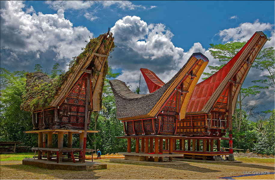 Le pays Toraja est une alternance de villages typiques et de cultures, principalement de riz. (6)