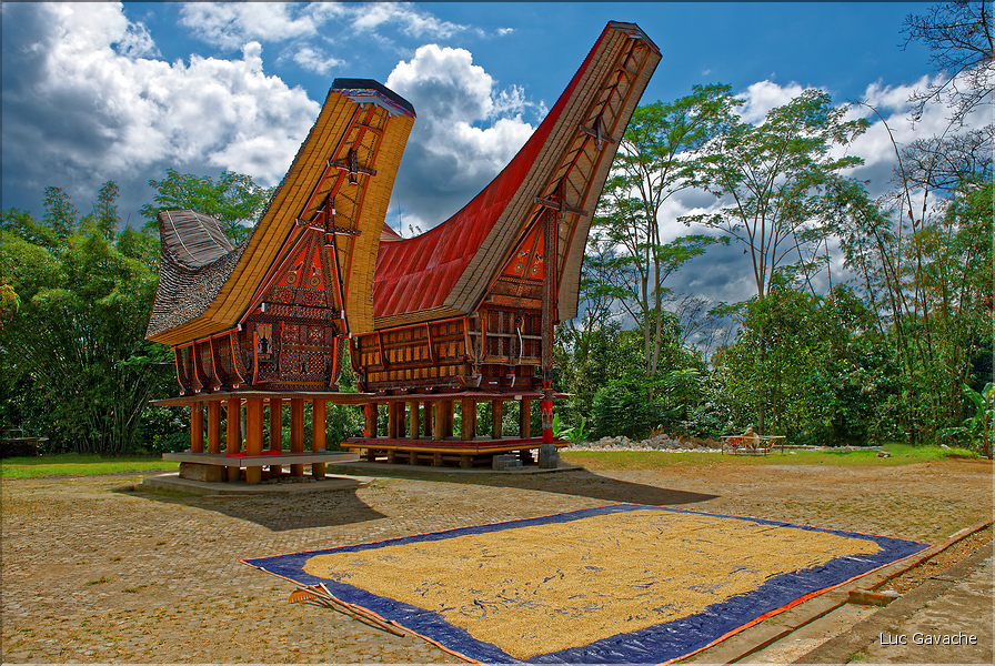 Le pays Toraja est une alternance de villages typiques et de cultures, principalement de riz. (7)
