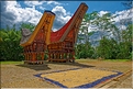 Le pays Toraja est une alternance de villages typiques et de cultures, principalement de riz. (7)