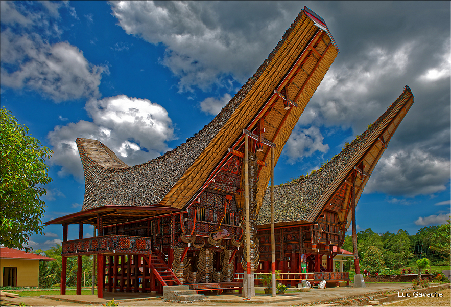 Le pays Toraja est une alternance de villages typiques et de cultures, principalement de riz. (9)