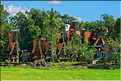 Le pays Toraja est une alternance de villages typiques et de cultures, principalement de riz. (17)