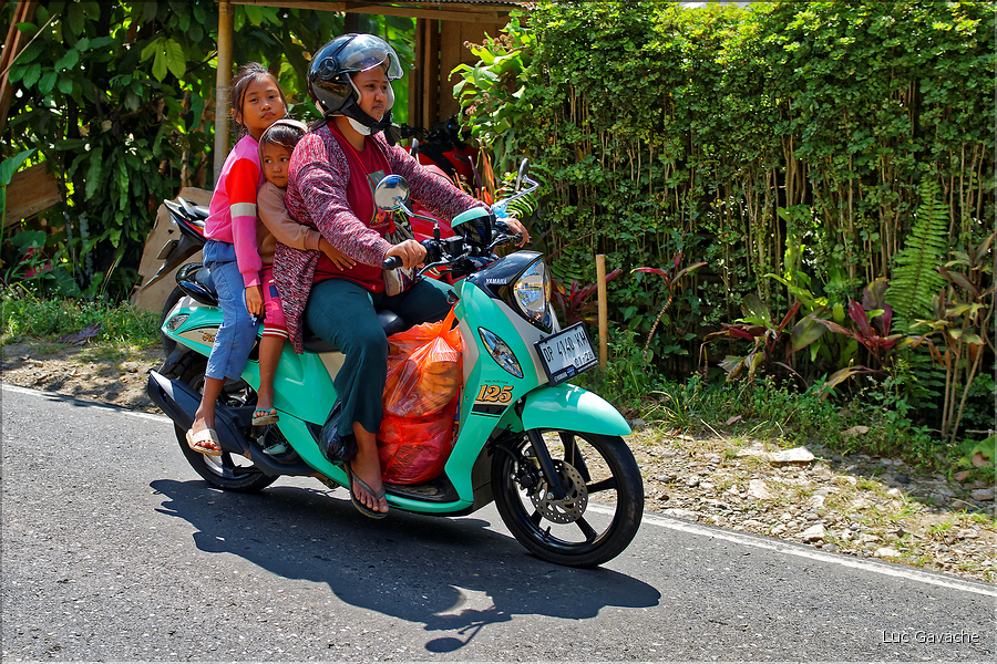 La vie dans la campagne Toraja. (15)
