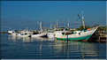 Le vieux port de Makassar. (1)