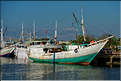 Le vieux port de Makassar. (2)