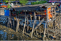 Le vieux port de Makassar. (4)