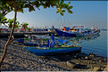 Le vieux port de Makassar. (5)