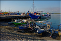 Le vieux port de Makassar. (6)