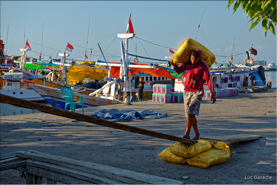 Le vieux port de Makassar. (8)