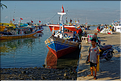 Le vieux port de Makassar. (9)