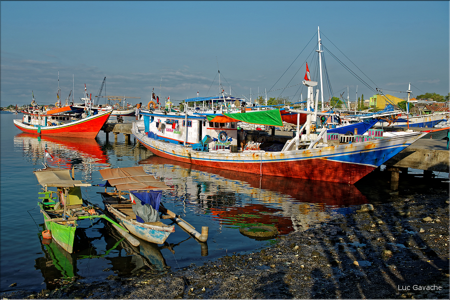 Le vieux port de Makassar. (11)