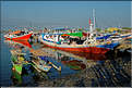Le vieux port de Makassar. (11)