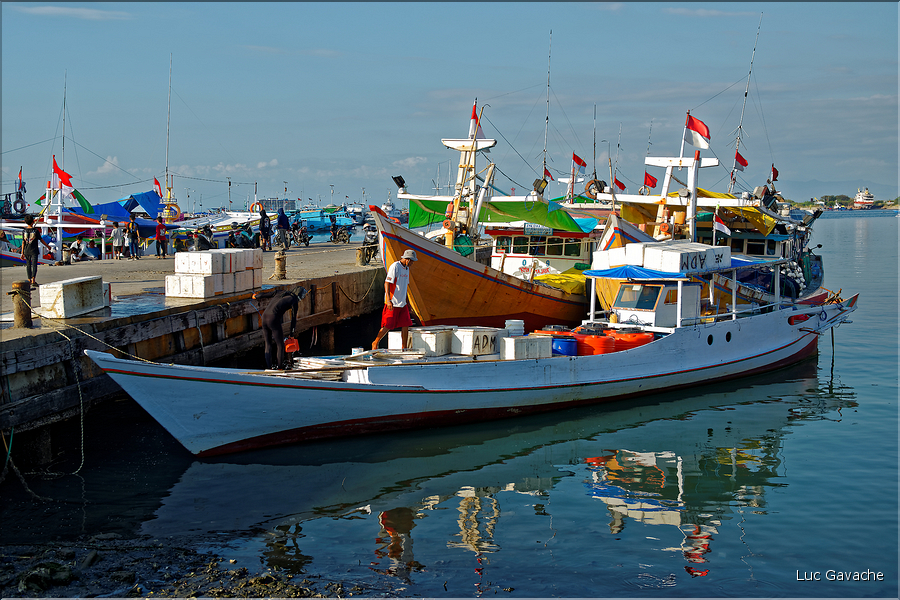 Le vieux port de Makassar. (12)
