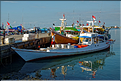 Le vieux port de Makassar. (12)