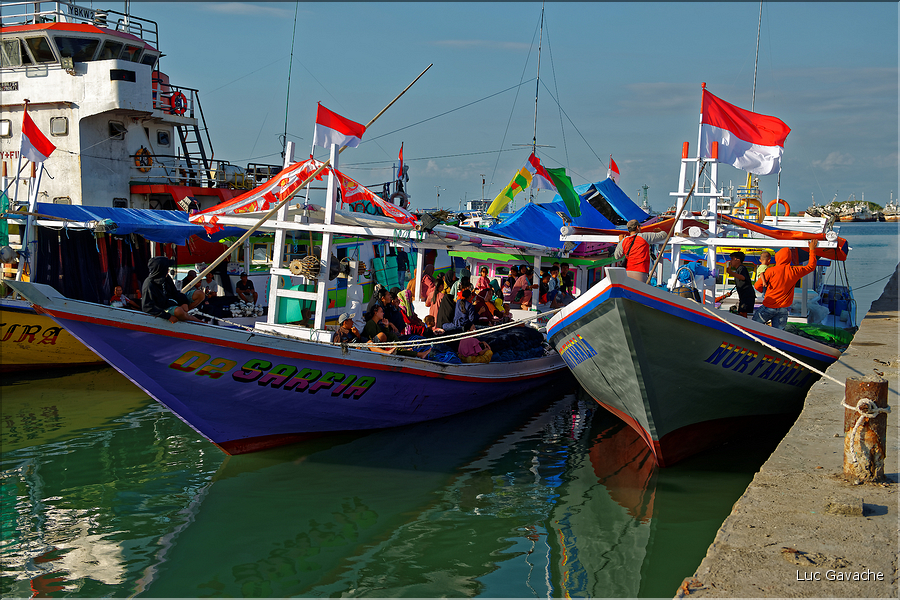 Le vieux port de Makassar. (14)