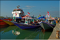 Le vieux port de Makassar. (16)