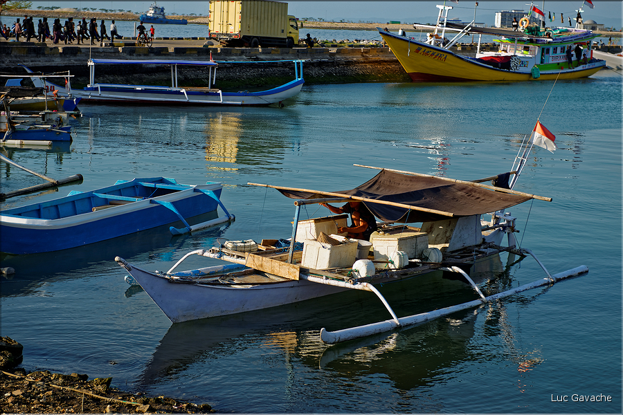 Le vieux port de Makassar. (18)