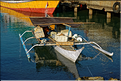 Le vieux port de Makassar. (19)