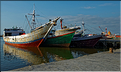 Le vieux port de Makassar. (24)