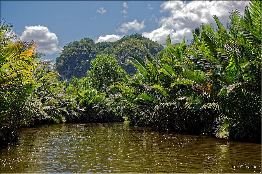 Remonter de la rivière Pute dans l'univers karstique de Ramang Ramang. (15)
