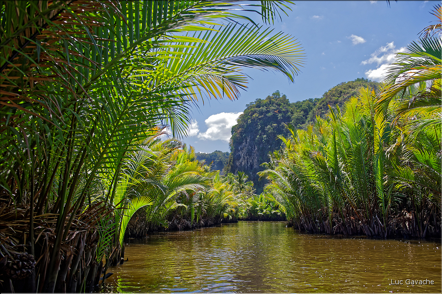 Remonter de la rivière Pute dans l'univers karstique de Ramang Ramang. (17)