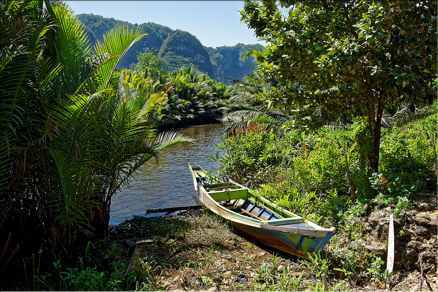 Près du village Berua à Ramang Ramang. (6)