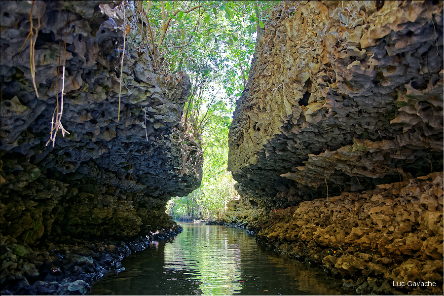 Près du village Berua à Ramang Ramang. (7)