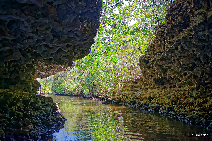 Près du village Berua à Ramang Ramang. (8)