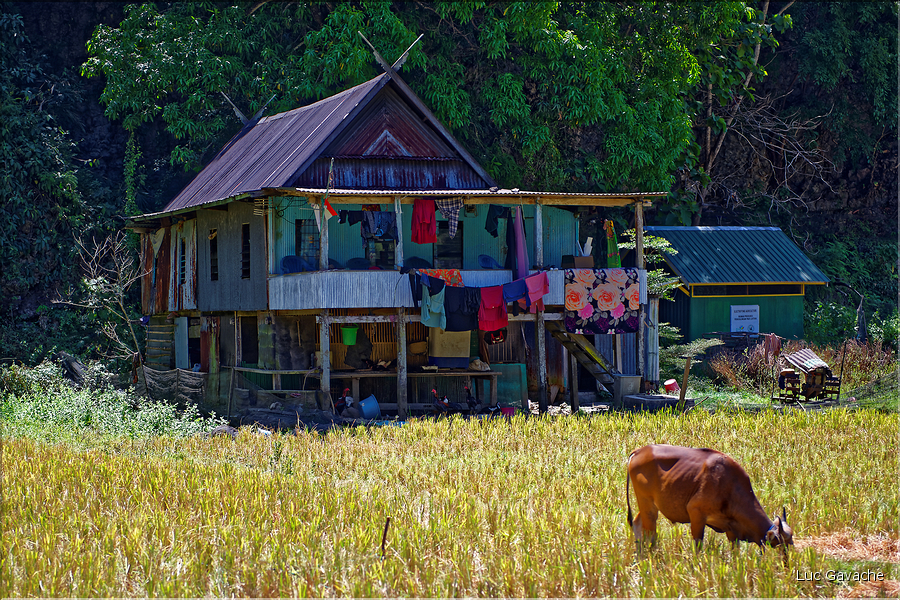 Le village de Berua dans la magnifique région karstique de Ramang Ramang. (28)