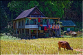 Le village de Berua dans la magnifique région karstique de Ramang Ramang. (28)