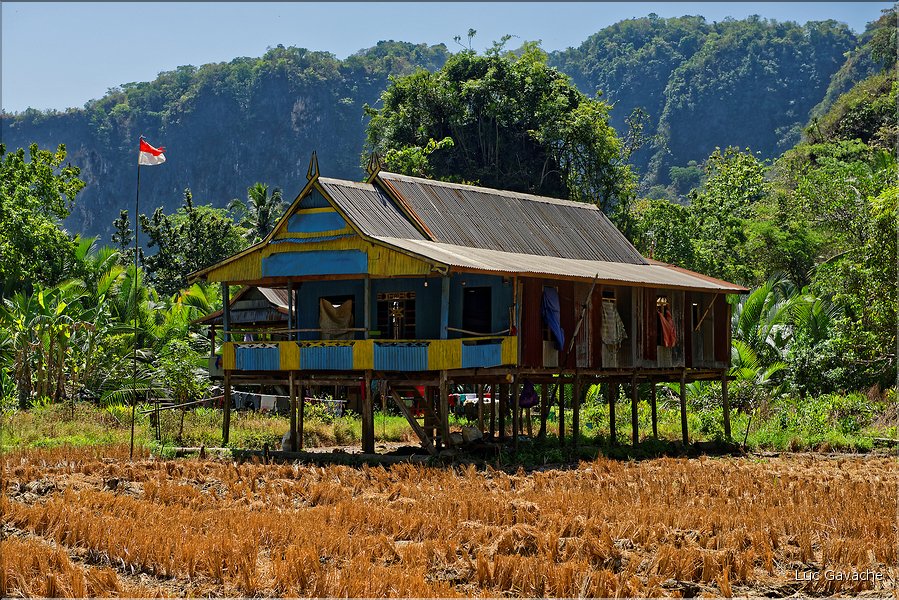 Dans la région de Ramang Ramang. (3)