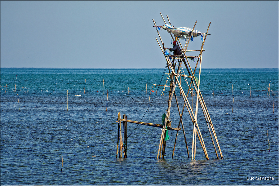 Pêche traditionnelle à Barru. (2)
