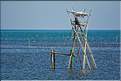 Pêche traditionnelle à Barru. (2)