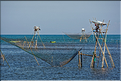 Pêche traditionnelle à Barru. (4)