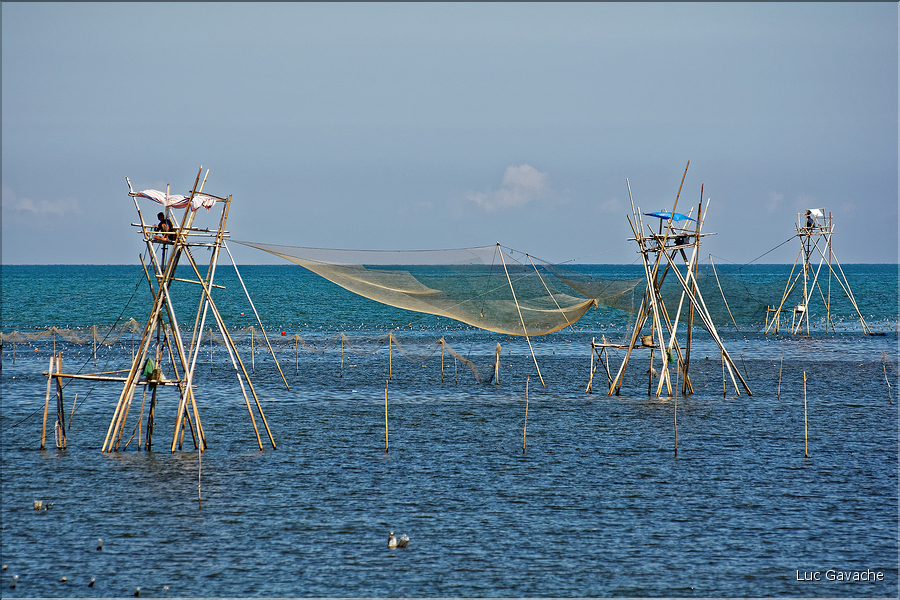 Pêche traditionnelle à Barru. (8)
