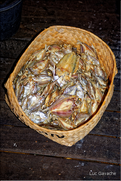 Le fruit de la pêche des Bugi (lac Tempe). (5)