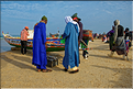 Retour de pêche au port de Kayar, sous le regard des vendeuses qui attendent le poisson. (29)