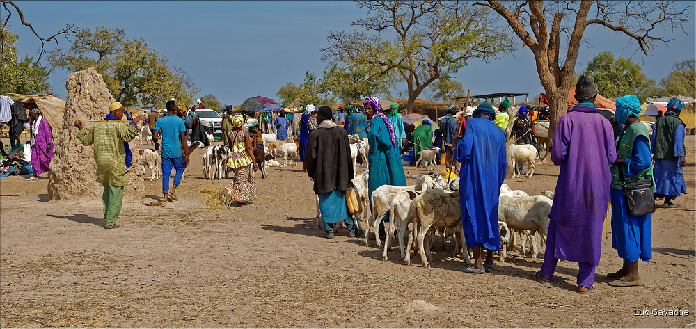 Marché multi-ethniques dans la région de Tambacounda. (11)