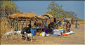 Marché multi-ethniques dans la région de Tambacounda. (18)