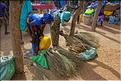 Marché multi-ethniques dans la région de Tambacounda. (16)
