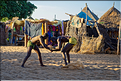 Lutteurs sénégalais dans le petit village de pêcheurs dans la région de Ndangane.
