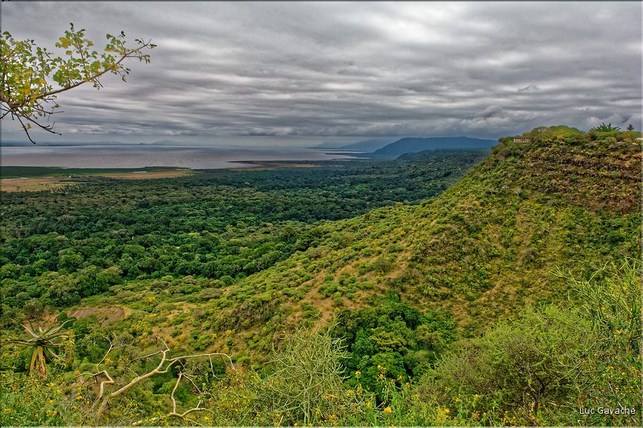 Le lac Manyara. (2)