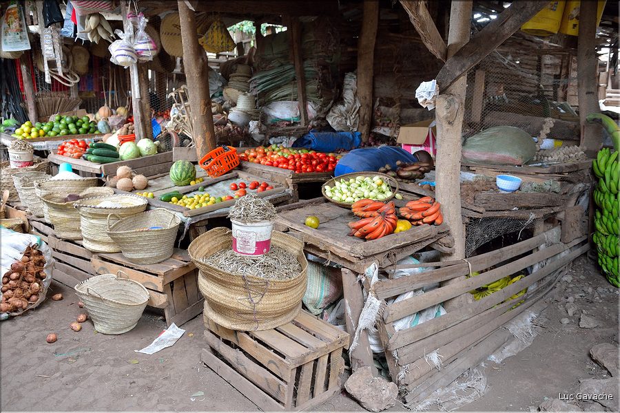 Le marché de Mtowambu, petite ville à proximité du lac Manyara. (7)