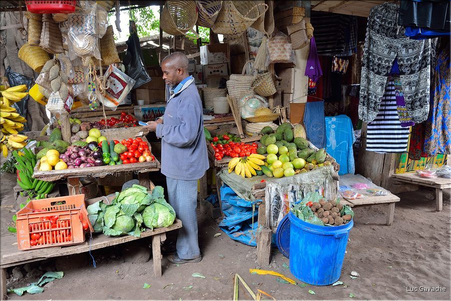Le marché de Mtowambu, petite ville à proximité du lac Manyara. (10)