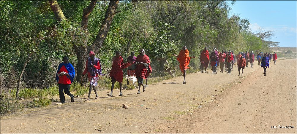 Sur la route du lac Natron. Le marché de Wasso. (1)