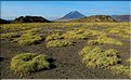 Le volcan Ol Doinyo Lengai -qui veut dire la montagne de dieu en maasa- vu des berges du lac Natron. (4)