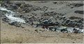 Malgré l'aridité de la région, faille du Rift oblige, l'eau ne manque pas grâce aux montagnes environnantes... (2)