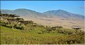 Sur les versants extérieurs du N'Gorongoro, les Maasa sont très présents car les pâturages sont nombreux pour leurs bêtes. (1)